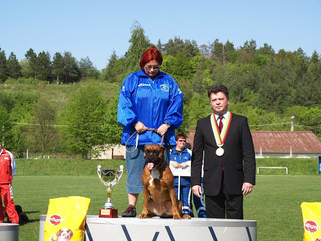 www.atibox.net * www.euroboxer.eu * www.boxergenealogia.eu